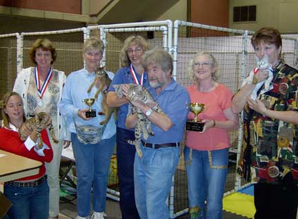 edmonton cat agility winners 1