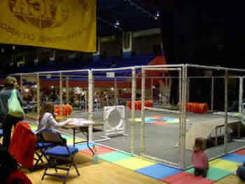 White Plains cat agility ring on the stage