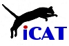 Small ICAT logo