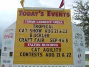 sign cat agility deland florida cfa show